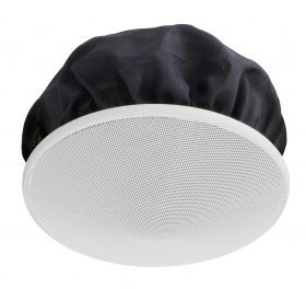 6W co-axial 12cm wide dispersion ceiling speaker with dome t