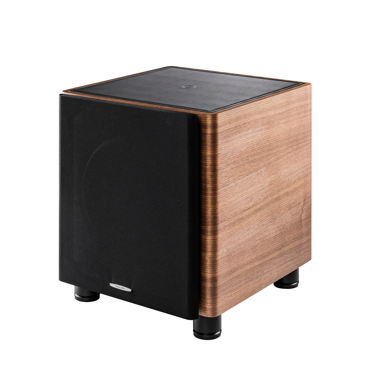 10 IN SUBWOOFER 700W - WOOD