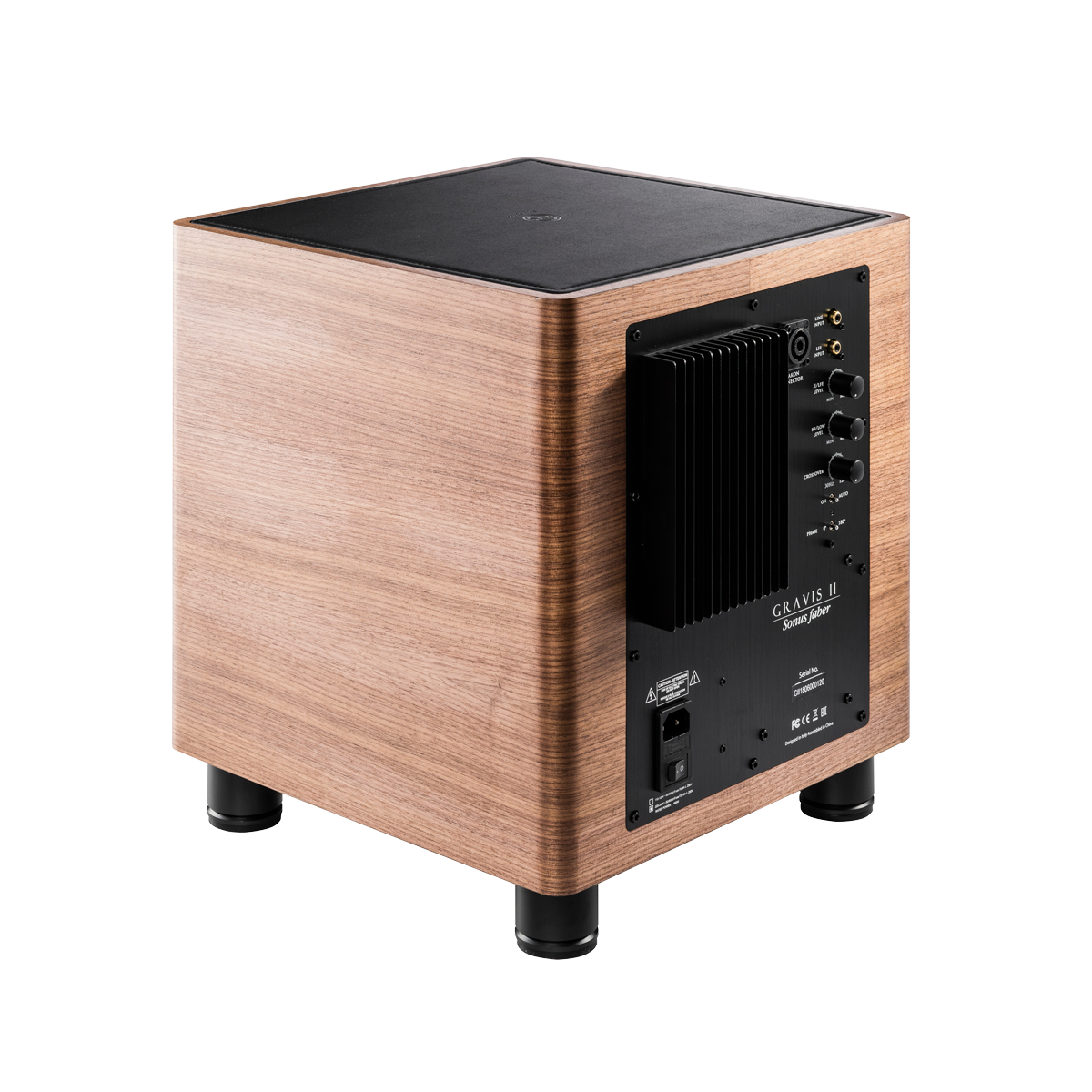 10 IN SUBWOOFER 700W - WOOD