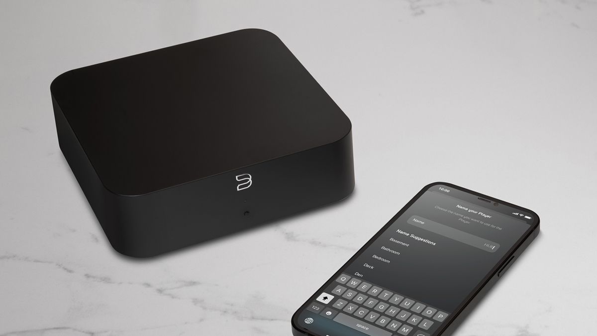 Network Input Accessory w-eARC HDMI, Digital & Analog Inputs