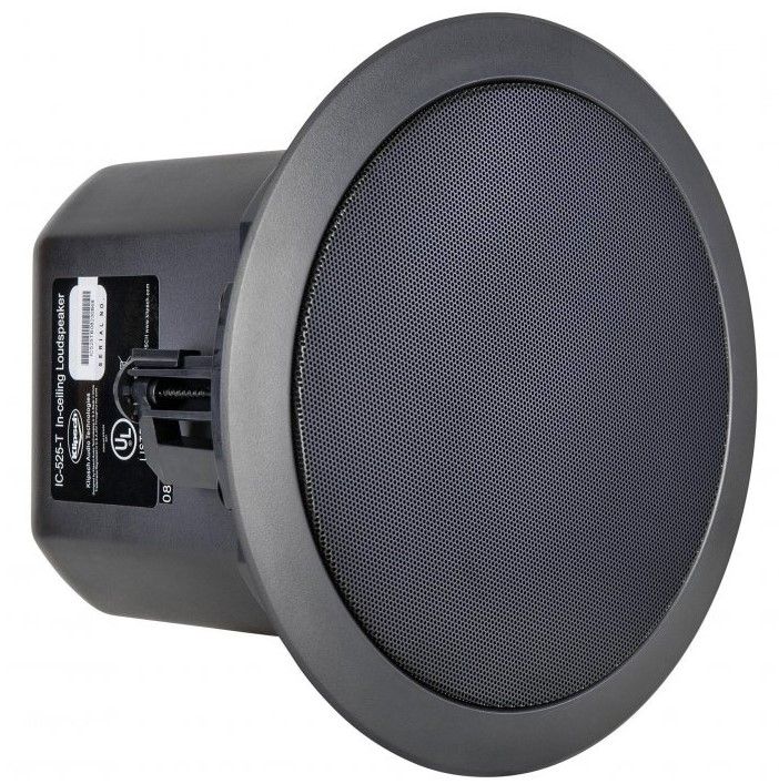 6.5in PRO Speaker- 70-100v PR- Black