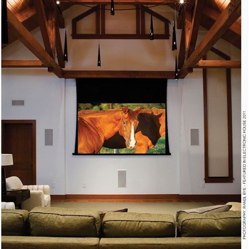 Draper 140040QU 165\\" Access Electric Projection Screen with Quiet and Low Voltage Motor, 16:10, Matt White XT1000VB