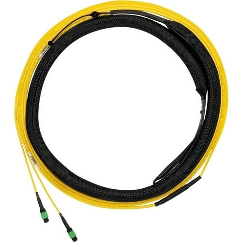 Panduit F9TYL5EL2SAM100 12-Fiber Trunk Cable Assembly, OS2, LSZH, MPO F to LC Duplex, Standard Polarity