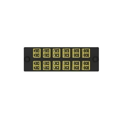 Panduit FAP12WDYLYLDLCZ 12 Position Keyed Standard Duplex