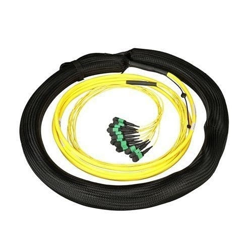 Panduit F8ONM5ENNAAM050 576-Fiber Cable, OS2, Indoor / Outdoor Trunk, OFNR / LSZH/ Cca, Female MTP to Pigtail