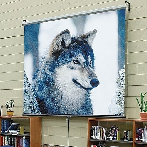 Draper 207101 Luma Manual Wall and Ceiling Projection Screen