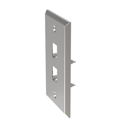 Panduit CFP2SY Stainless Steel Faceplate, 2-Port