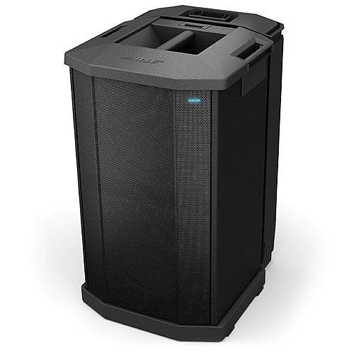 Bose Professional F1 Compact Subwoofer, 10\\" High-Excursion Drivers, Black