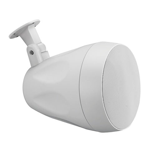 Beale Street WP6VW-BSC 6.5" On-Wall/Pendant Speaker, 40W RMS