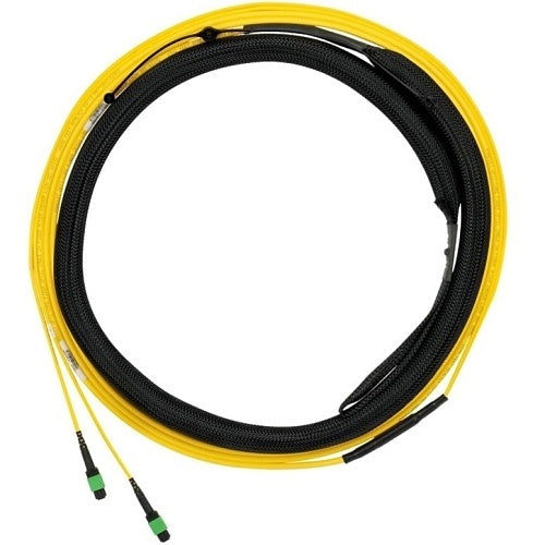 Panduit F9TYP5EL2SAF100 12-Fiber Trunk Cable Assembly, OS2, OFNP, MPO F to LC Duplex, Standard Polarity