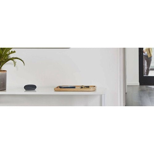 Google WNGOGA216CA Home Mini Speaker, Charcoal (Black)