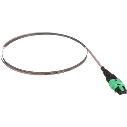 Panduit F9TCN7NNNSNM001 12-Fiber Ribbon Assembly, OS2, PanMPO Female Connector