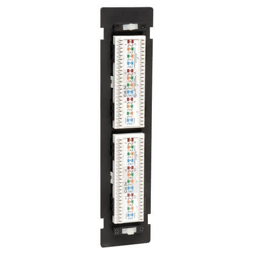 Tripp Lite N250-012 12-Port CAT6/CAT5 Wall-Mount Vertical 110 Patch Panel