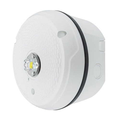 System Sensor SCWKLED-P L-Series Outdoor Ceiling Strobe with LED, White