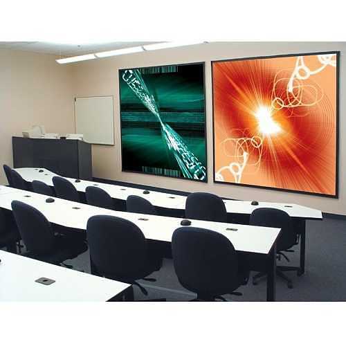 Draper 251065 123\\" Cineperm Fixed Frame Projection Screen, 16:10, Matte White