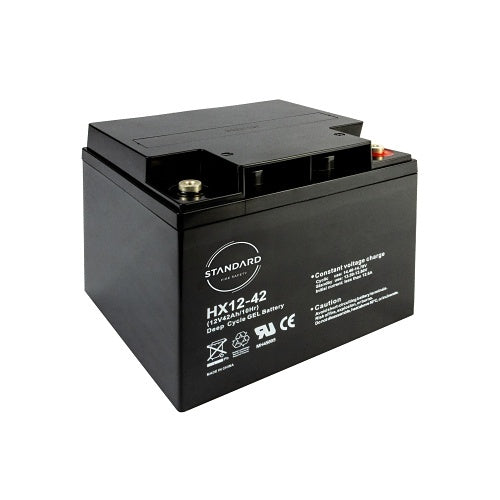 Standard Fire Safety SD6000-B12420 12V 42Ah Rechargable Battery