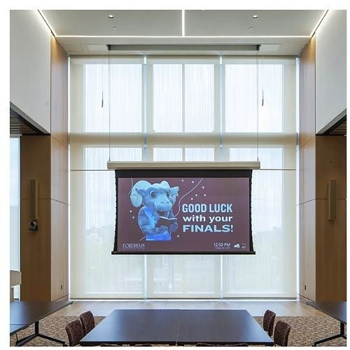 Draper 150027TE Ropewalker Electric Projection Screen, TecVision XH900X ALR Surface, 16:10 Image Format, 255\\"