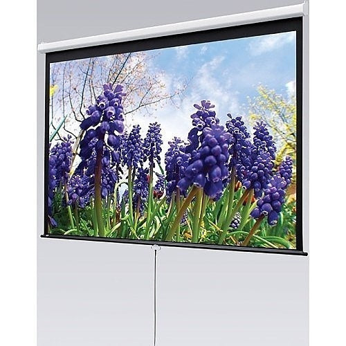 Draper 207101 Luma Manual Wall and Ceiling Projection Screen