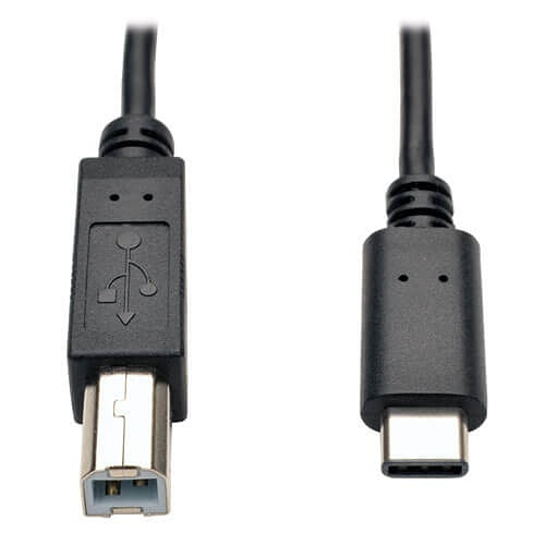 Tripp Lite U040-006 USB-C to USB-B Cable - USB 2.0, (M/M), 6\' (1.83 m)