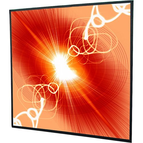 Draper 251139 113\\" Cineperm Fixed Projection Screen, 16:10, Matt White XT1000VB