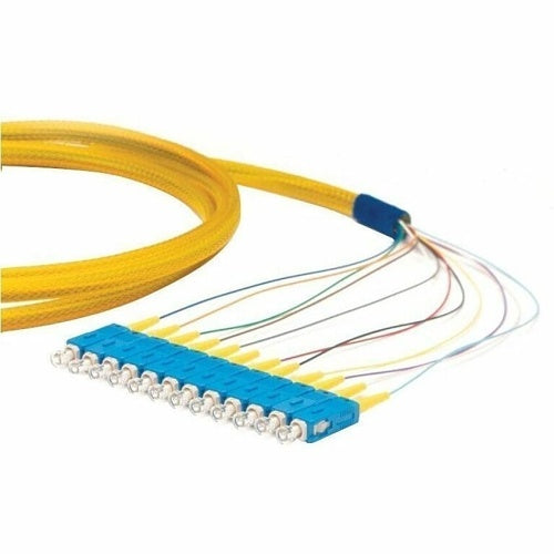 OCC P8SCAPC06-1M Single-mode SC Pigtail Assembly, Angled Polish, 6-Fiber, 1m