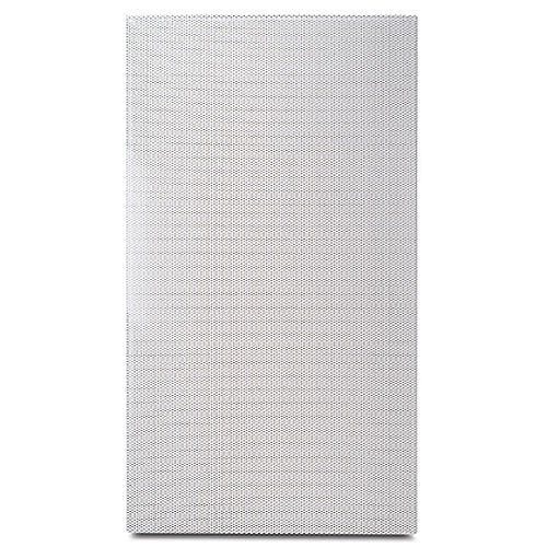 Proficient 1001-42830 Indoor-Outdoor Speaker Grille for AW830, Pair, White