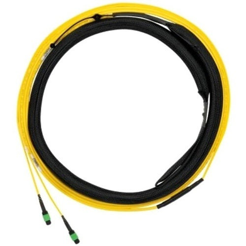 Panduit F9TYP5EL2SAF300 12-Fiber Trunk Cable Assembly, OS2, OFNP, MPO F to LC Duplex, Standard Polarity