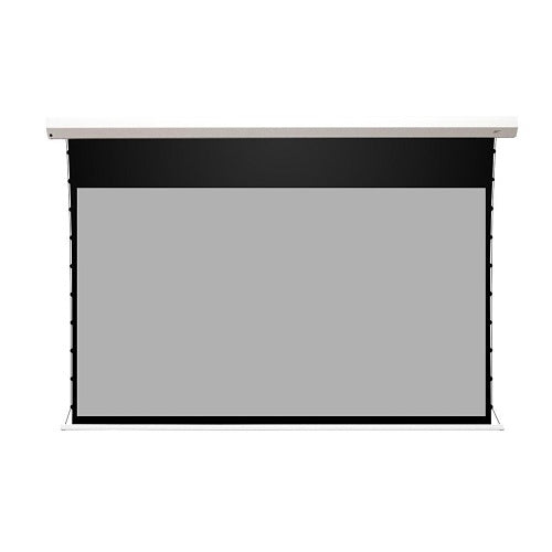 Elite Screens STT110XHD4AT-E12 Starling Tab-Tension CineGrey 4D AT Electric Motorized Screen, 110\\"