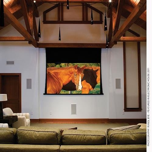 Draper 140040L Access 165\\" Electric Projection Screen