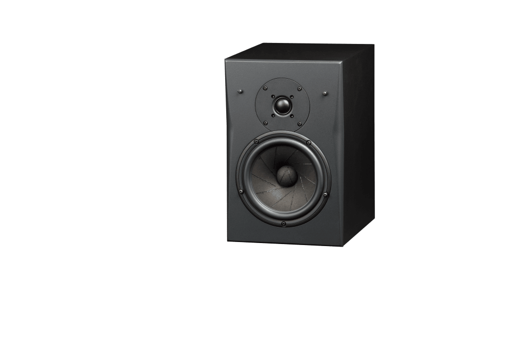 Triad InRoom Gold MiniMonitor (painted finish)