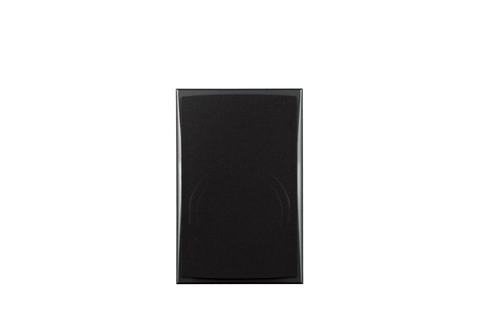 Triad InRoom Gold MiniMonitor (painted finish)