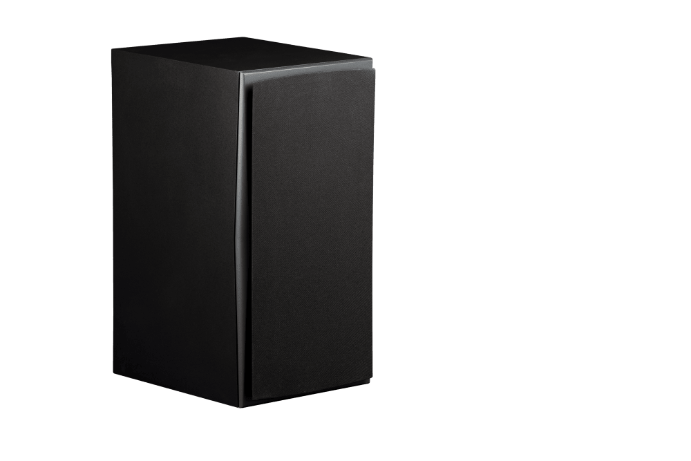 Triad InRoom Gold Monitor (veneer finish)