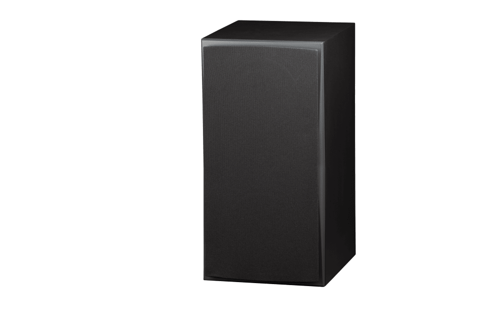Triad InRoom Gold Monitor (painted finish)