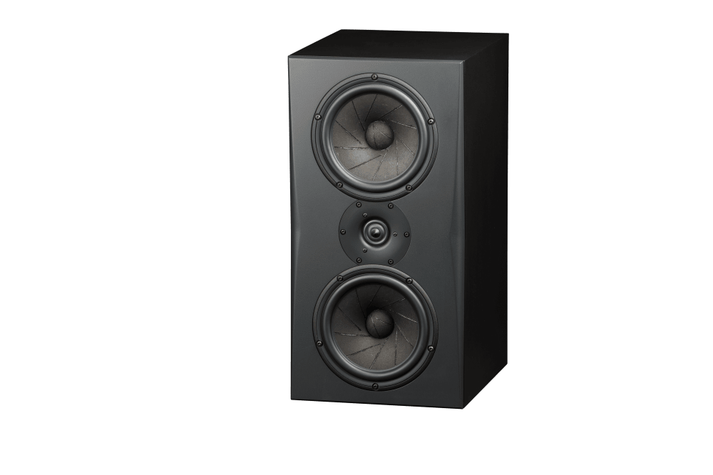 Triad InRoom Gold Monitor (painted finish)