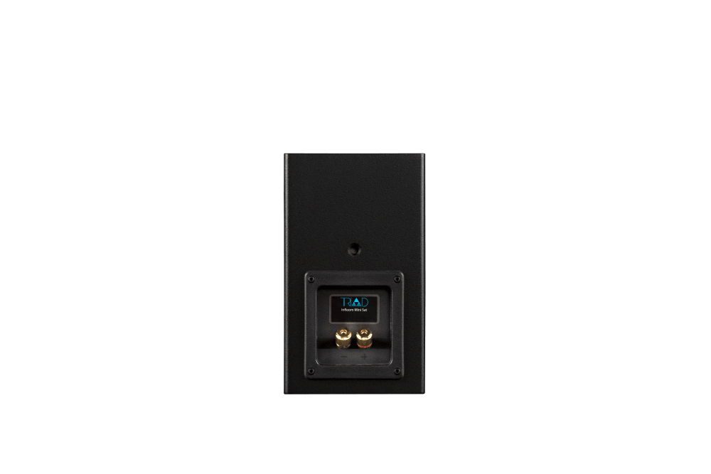 Triad InRoom Mini Sat (painted finish)