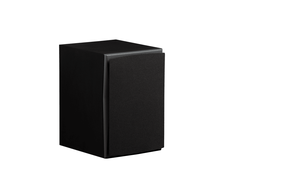 Triad InRoom Silver MiniMonitor (painted finish)