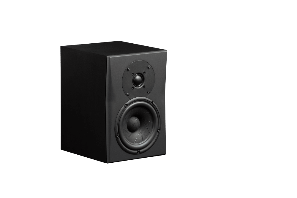 Triad InRoom Silver MiniMonitor (painted finish)