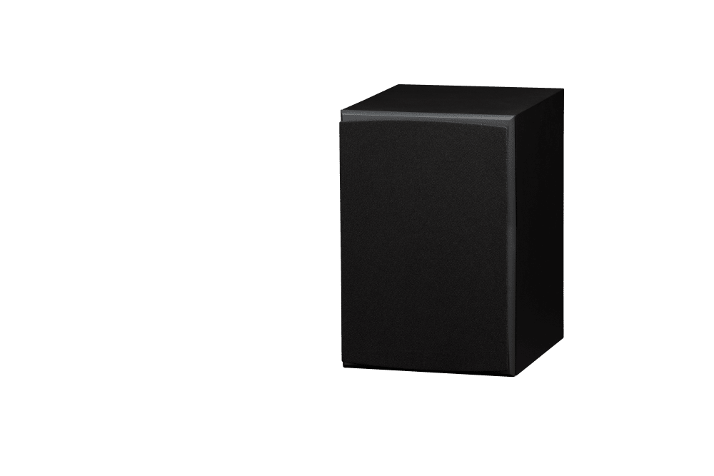 Triad InRoom Silver MiniMonitor (veneer finish)