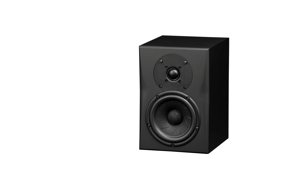 Triad InRoom Silver MiniMonitor (painted finish)