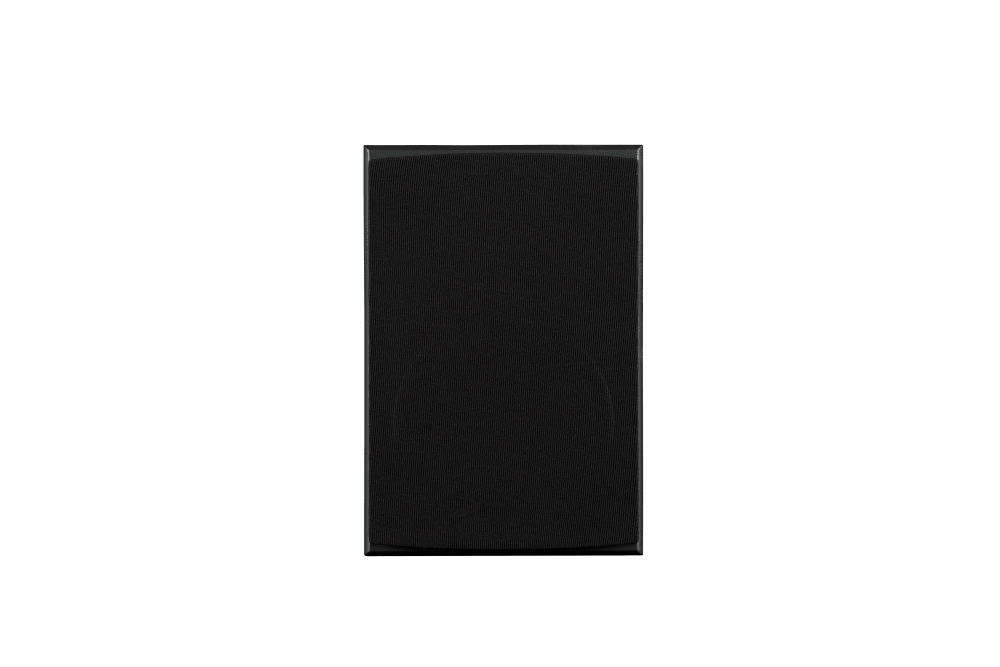 Triad InRoom Silver MiniMonitor (painted finish)