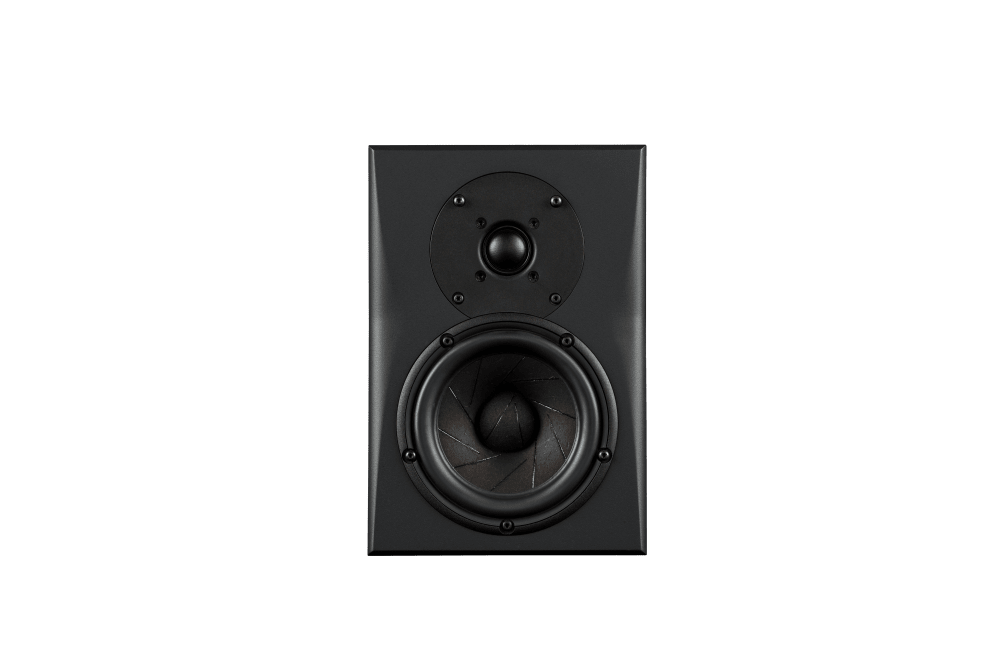 Triad InRoom Silver MiniMonitor (veneer finish)