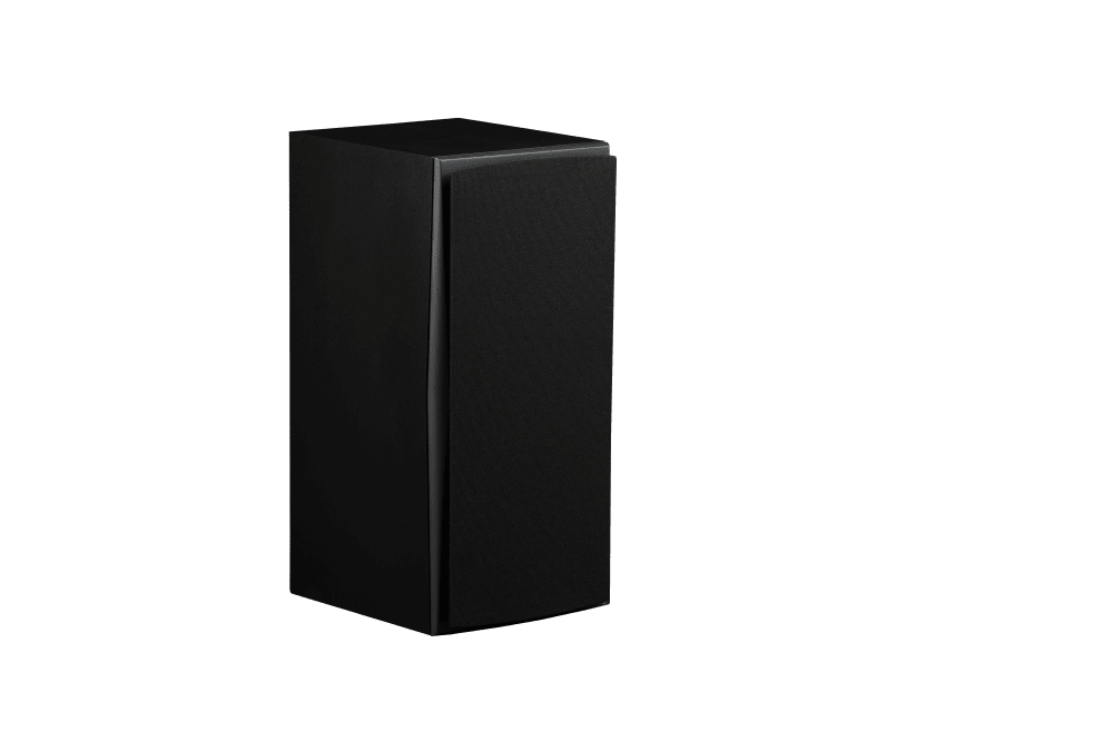 Triad InRoom Silver Monitor (painted finish)
