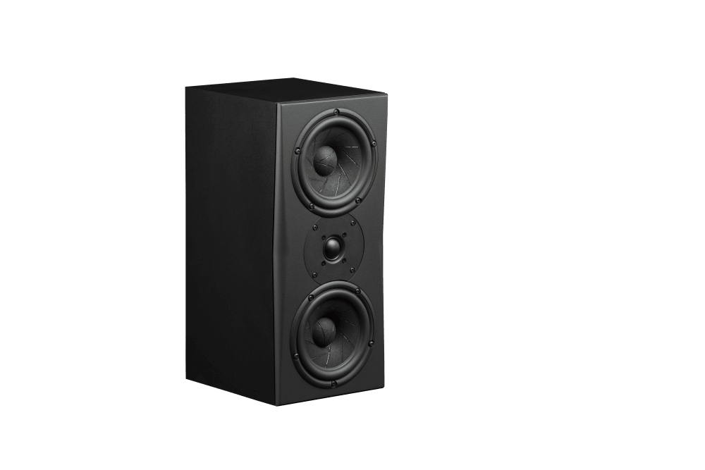 Triad InRoom Silver Monitor (veneer finish)