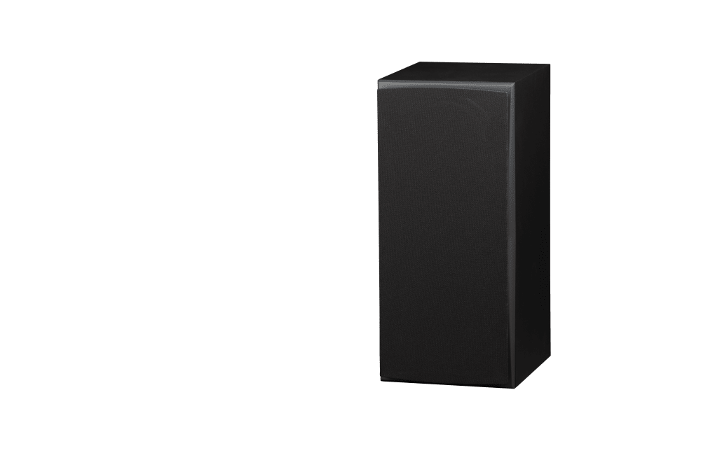 Triad InRoom Silver Monitor (veneer finish)