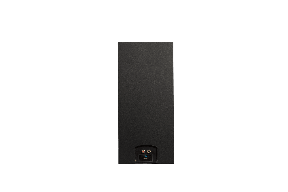 Triad InRoom Silver Monitor (painted finish)