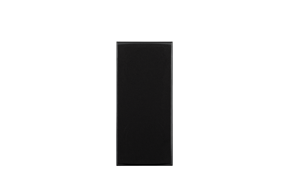 Triad InRoom Silver Monitor (veneer finish)