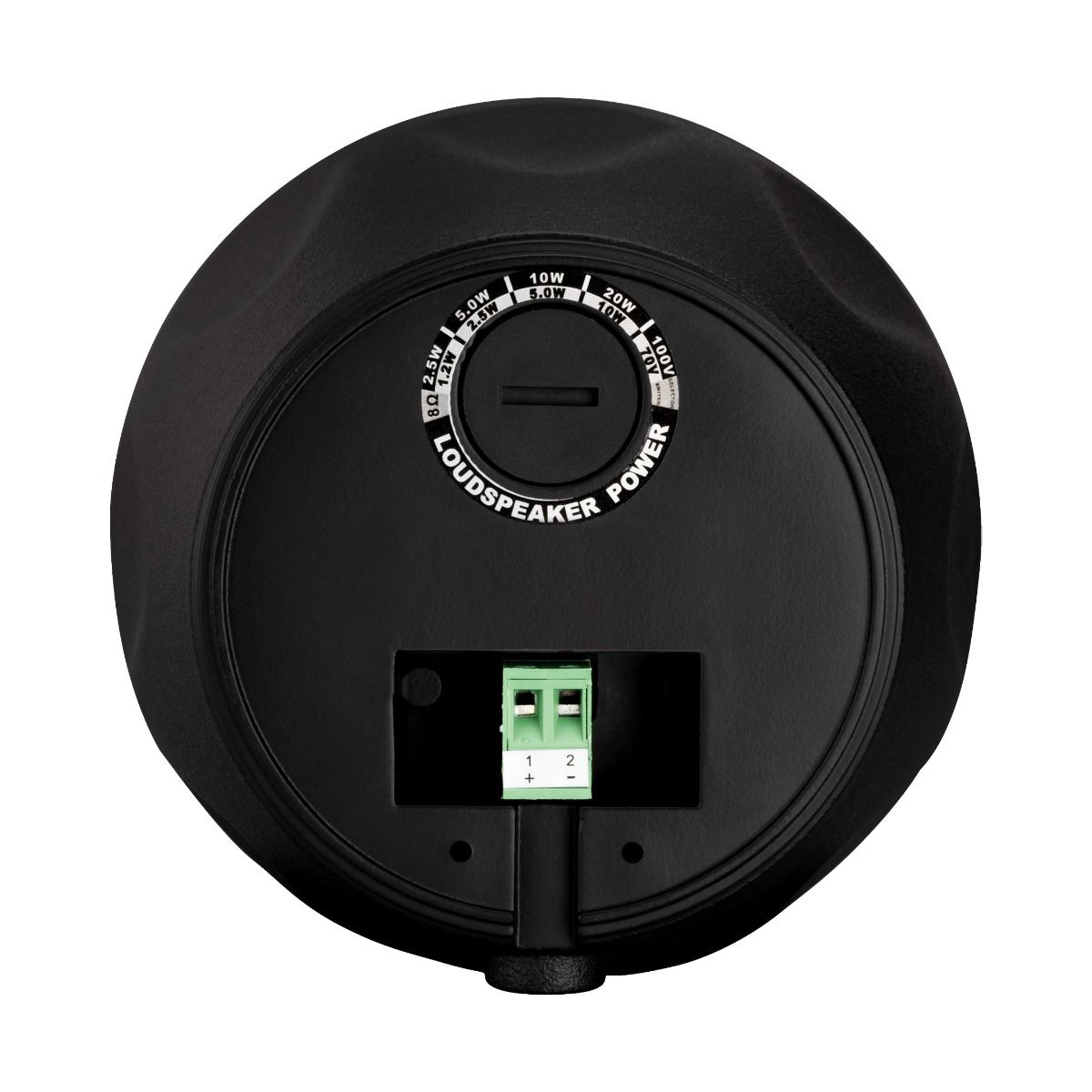 Outdoor Speaker Kit with Black Landscape Subwoofer