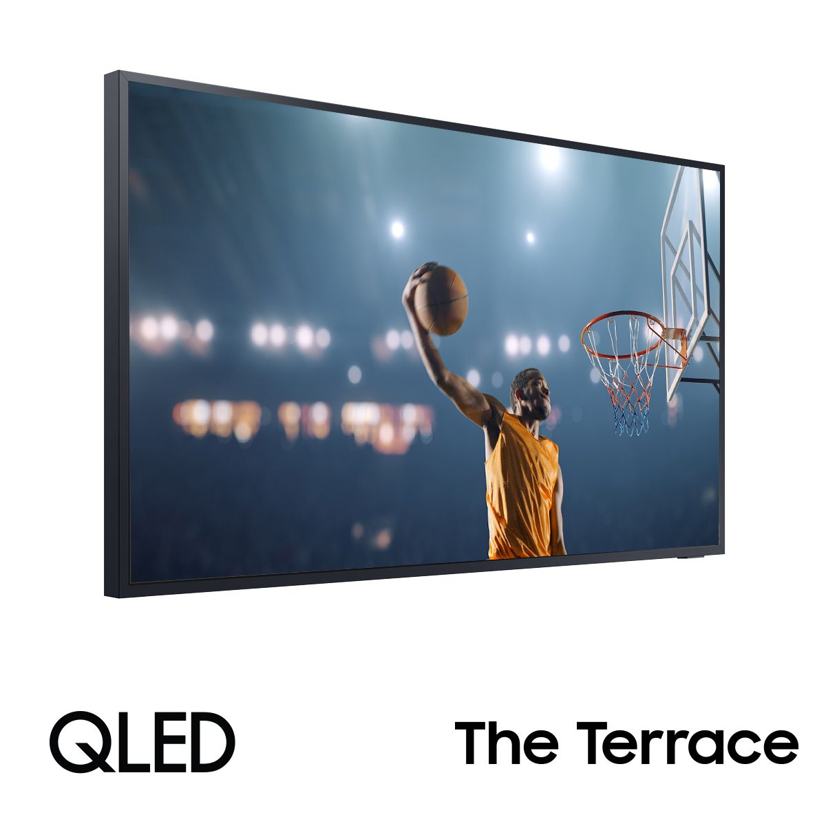 55 in Neo-QLED The Terrace  Outdoor TV 4K - 2024