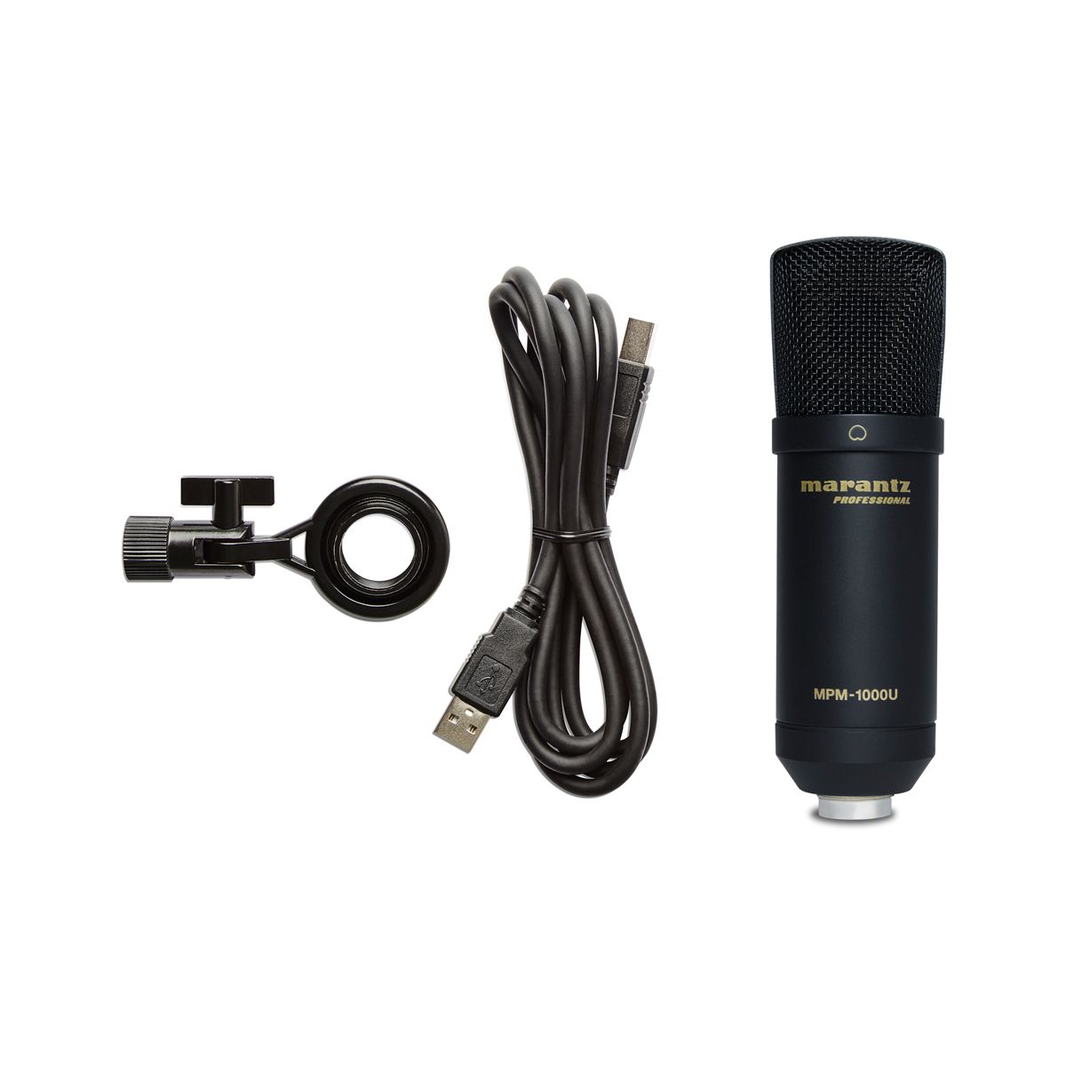 USB Large Diaphragm Condenser Microphone - Pole Mount