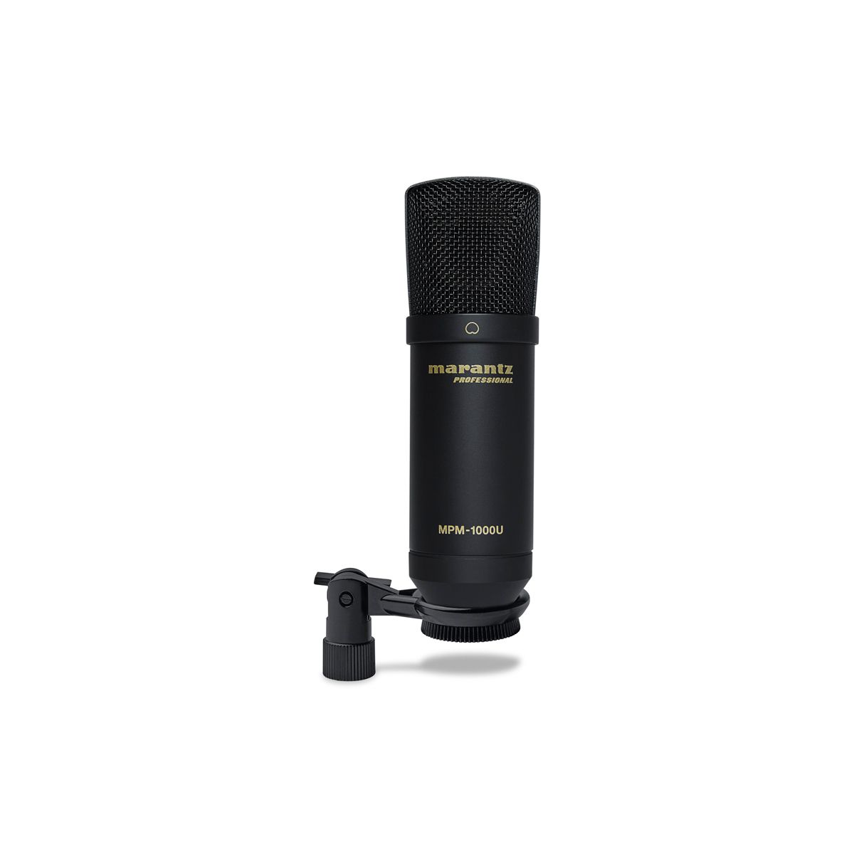 USB Large Diaphragm Condenser Microphone - Pole Mount